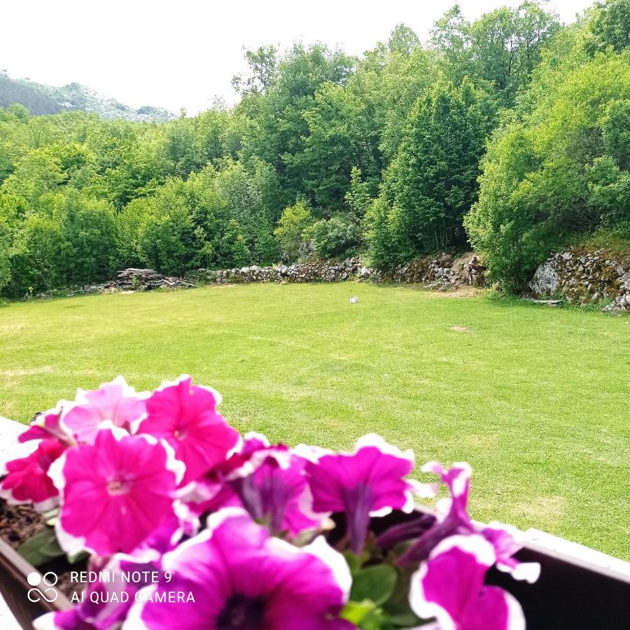 Vikendica Njegusi Villa Cetinje Exteriör bild