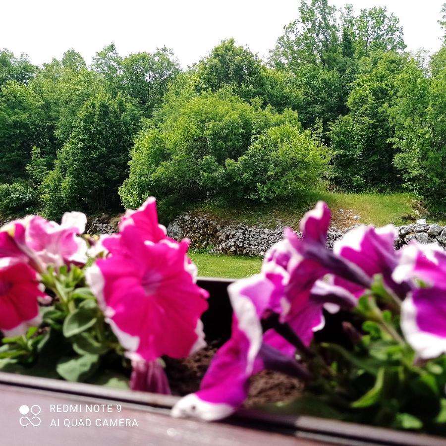 Vikendica Njegusi Villa Cetinje Exteriör bild